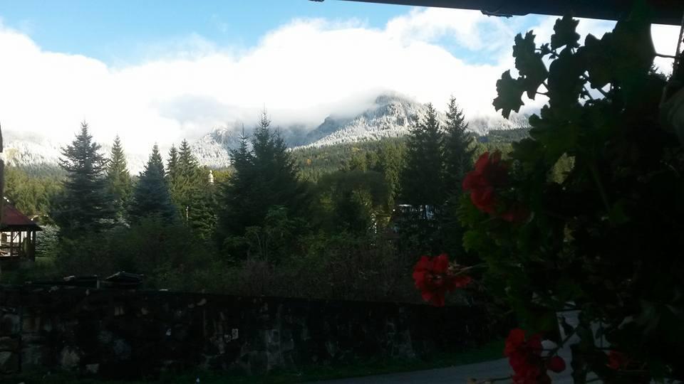 Taverna Ceahlau Durau Exteriör bild